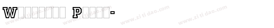 Wetetque Plain字体转换